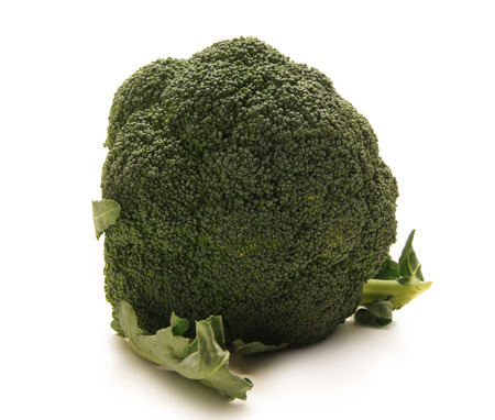 broccoli isolated on whiteの写真素材