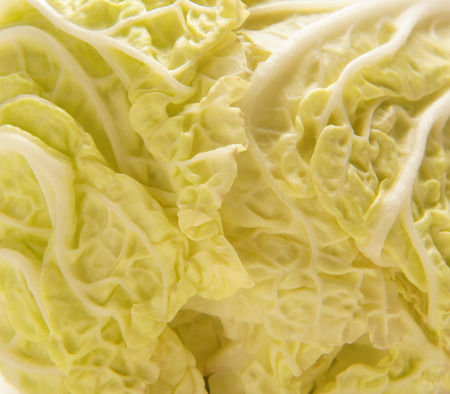 cabbageの写真素材