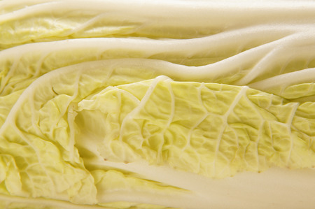 cabbage close up の写真素材