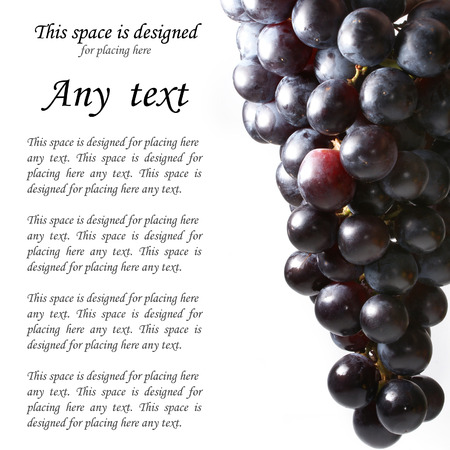 Grapes isolated on white backgroundの写真素材