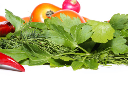 Radish, pepper, parsley, tomatoes and fennel isolated on whiteの写真素材