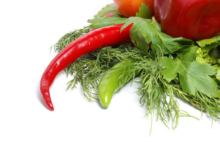 Pepper, fennel and parsley on whiteの写真素材