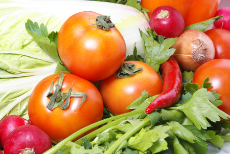 Tomatoe parsley cabbage onion and other vegetablesの写真素材
