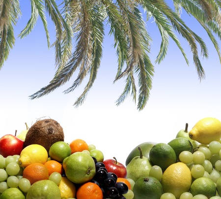 Set of different bright tasty fruits isolated on whiteの写真素材