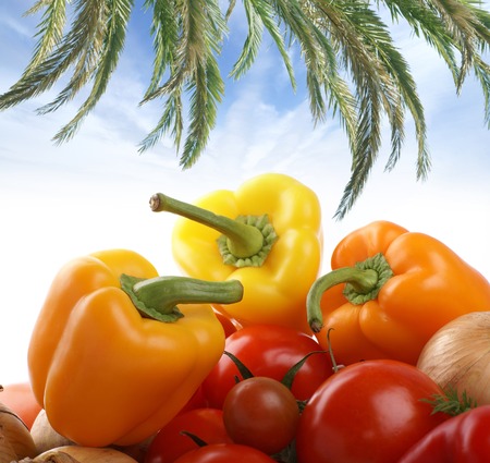 Different fresh tasty vegetables isolated on white backgroundの写真素材