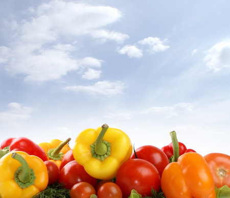 Fresh tasty vegetables isolated on whiteの写真素材