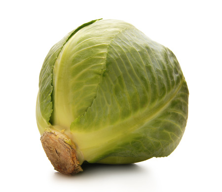 cabbage isolated on whiteの写真素材