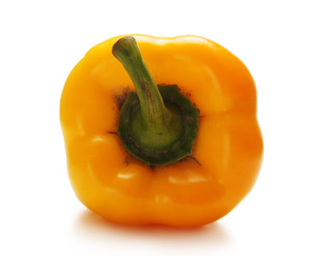 paprika isolated on whiteの写真素材