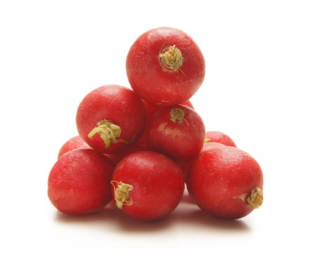 radish isolated on whiteの写真素材