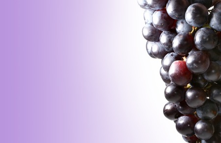 Grapes over violet backgroundの写真素材