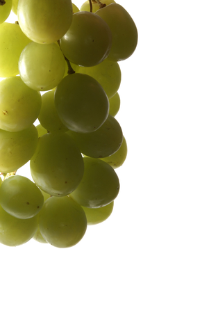 Uva (cluster of grapes) isolated on white backgroundの写真素材