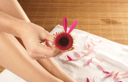 Very bstrange flower in a hand over spa backgroundの写真素材