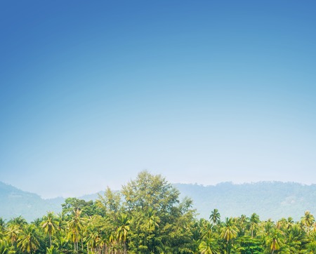 Tropical forest and mountains. Samui, Thailand.の写真素材