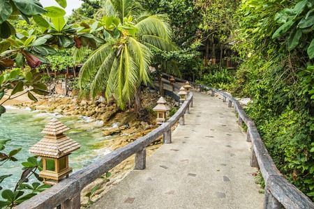 Adventurous path through the jungles with thai style lights among the valley nearby bay.の写真素材