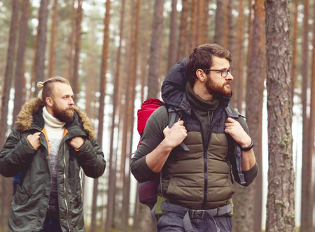 Camp, adventure, traveling and friendship concept. Man with a backpack and beard and his friend hiking in forest. Autumn color and hipster filter.の写真素材