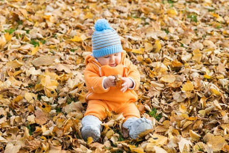 Toddler baby playing in autumn park.の写真素材