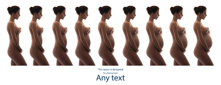Collage of different belly growth stadiums during pregnancy stages from flat to huge.の写真素材