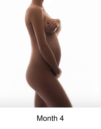 Naked pregnant woman isolated on whiteの写真素材