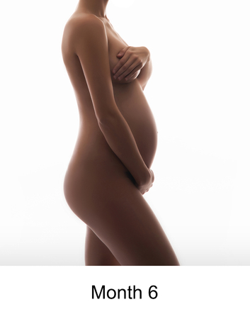 Naked pregnant woman isolated on whiteの写真素材