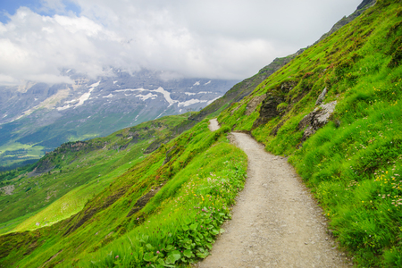 Alpine peaks of Grindelwald and Jungfrau. Landskape background of Bernese highland. Alps, tourism, journey, hiking concept.の写真素材