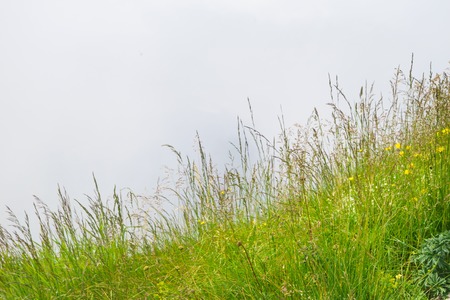 Alpine peaks landskape background. Jungfrau, Bernese highland. Alps, tourism, journey, hiking concept.の写真素材