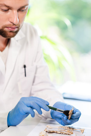 Archaeologist working in natural research lab. Laboratory assistant cleaning animal bones....