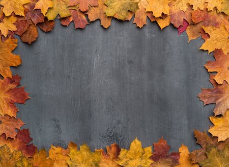 Seasonal autumn background. Frame of colorful maple leaves.の写真素材