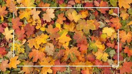 Seasonal autumn background. Frame of colorful maple leaves.