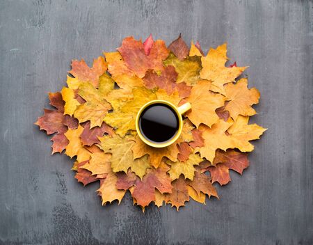 Seasonal autumn background. Frame of colorful maple leaves and a cup of hot coffee over grey.の写真素材