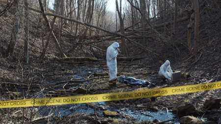 Detectives are collecting evidence in a crime scene. Forensic specialists are making expertise. Police investigation in a forest.の写真素材