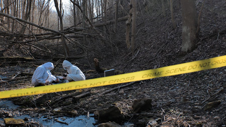 Detectives are collecting evidence in a crime scene. Forensic specialists are making expertise....
