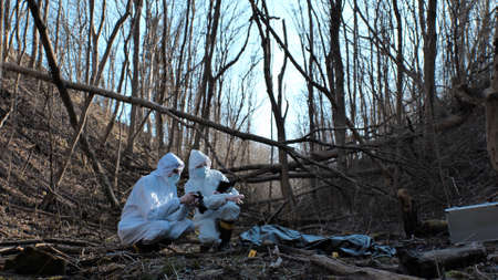 Detectives are collecting evidence in a crime scene. Forensic specialists are making expertise. Police investigation in a forest.の写真素材