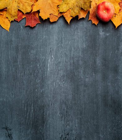 Autumn maple leaves on ancient texture. Falling leaves natural background. Seasonal background.