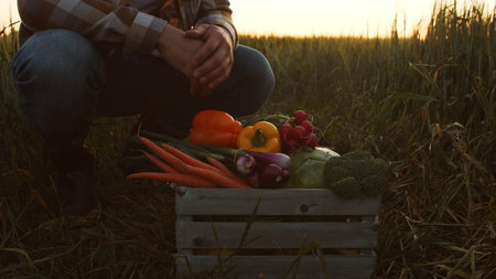 Farmer in front of a sunset agricultural landscape. Man in a countryside field. Country life, food production, farming and country lifestyle concept.の写真素材