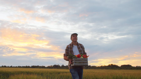 Farmer with a vegetable box in front of a sunset agricultural landscape. Man in a countryside field....