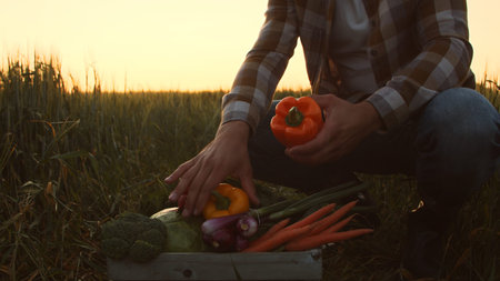 Farmer in front of a sunset agricultural landscape. Man in a countryside field. Country life, food...