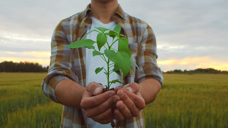 Farmer holding green plant in his hands in front of a sunset agricultural landscape. Man in a countryside field. Ecology, food production, farming and country lifestyle.の写真素材