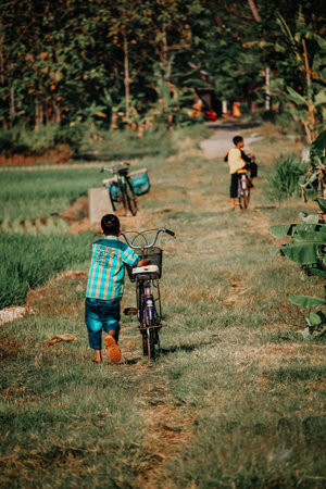 a child who is pushing his bicycle in the middle of a rice fieldのeditorial素材