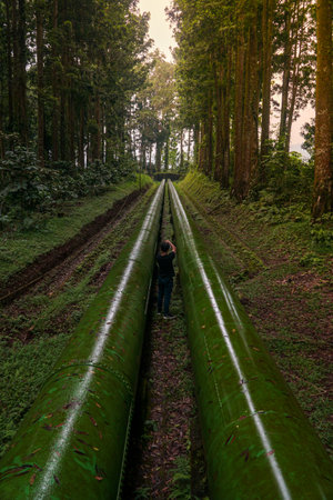 Pipeline in the rainforest of Doi Inthanon National Park, Thailandの写真素材