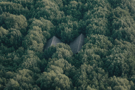 Aerial view of a small house in the middle of the forestの写真素材