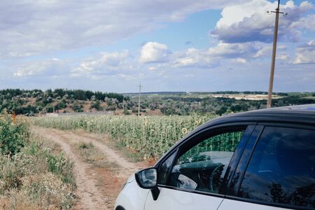 white car in the background of a field with sunflowers and a blue sky with cloudsの写真素材