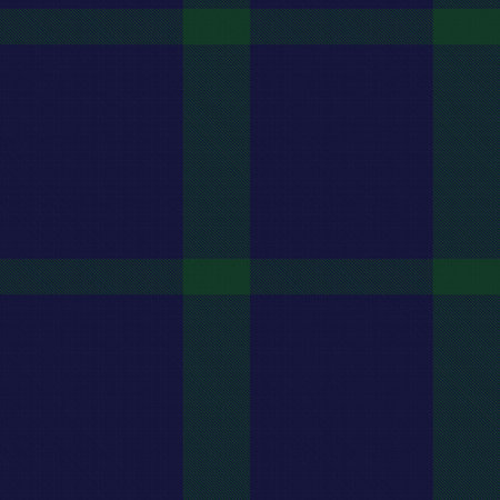 Green Asymmetric Plaid textured seamless pattern suitable for fashion textiles and graphicsのイラスト素材