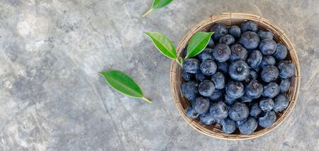 Blueberries in the basket on loft bacground, Top viewの写真素材