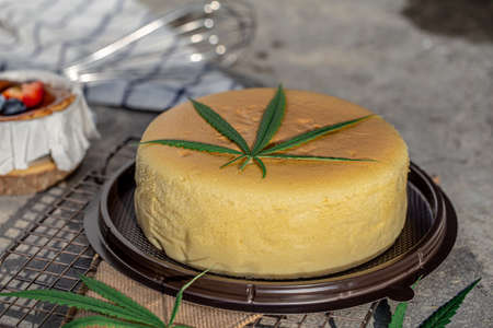 Japanese Cheese Cake with cannabis leaf topping on grey background.の写真素材