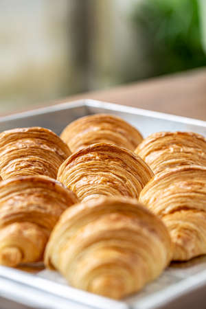 Focus of freshly baked plain Croissant. Homemade French butter croissants.の写真素材