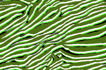 Full seamless tiger and zebra stripes animal skin pattern. Design for tiger colored textile fabric printing. Suitable for fashion use.のイラスト素材