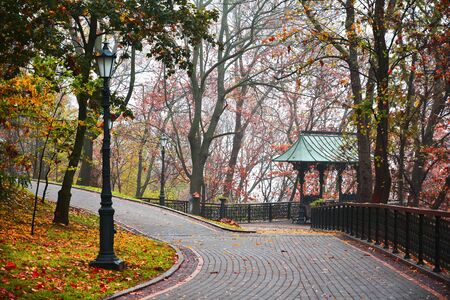 Walking path in the morning foggy park. Autumn background.の写真素材
