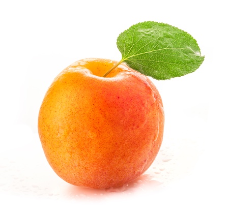 Apricot with green leaves and water dropsの写真素材