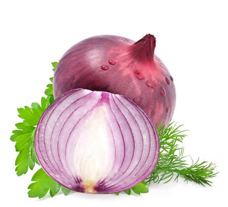 Composition of onions and leaves parsley and dill, isolated on white backgroundの写真素材