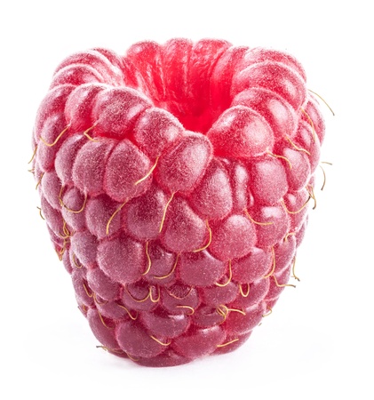 Raspberry isolated on white backgroundの写真素材